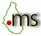 Логотип доменной зоны ms