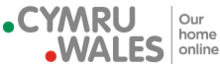 Логотип доменной зоны wales