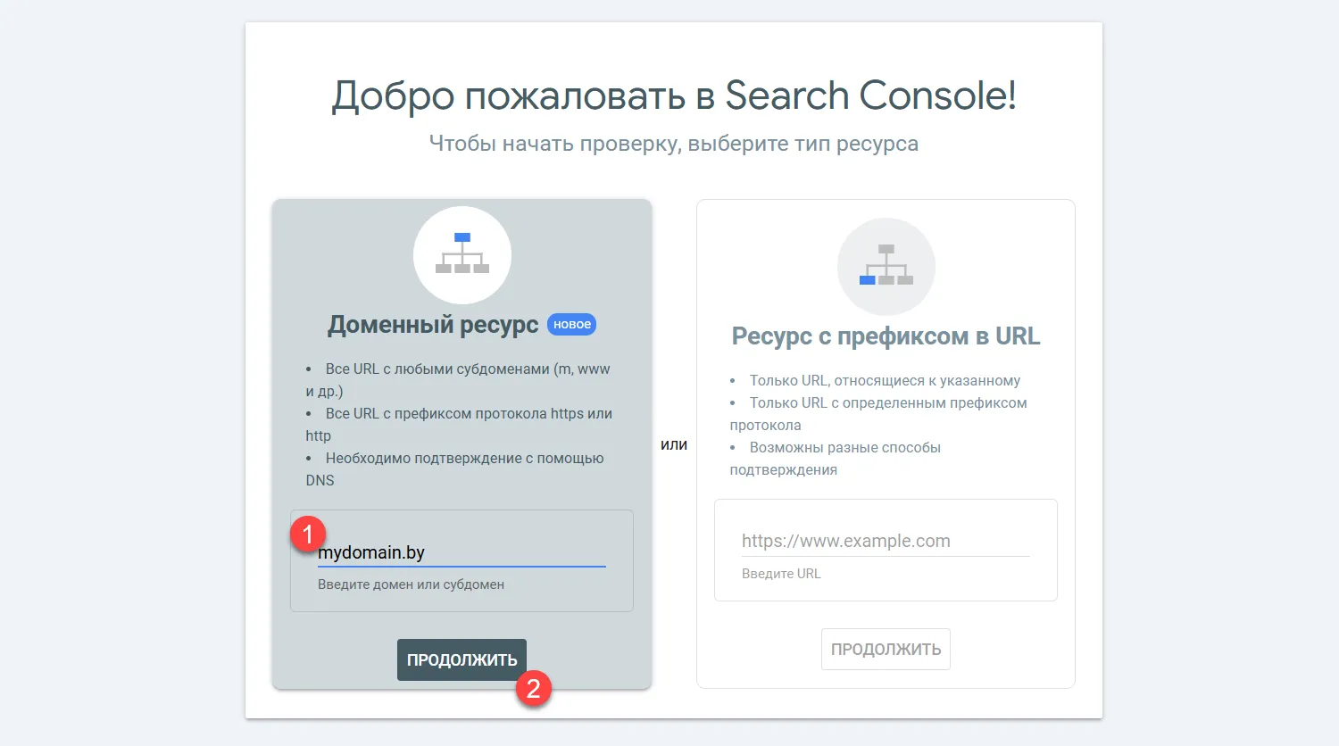 Выбор проверки через доменный ресурс Изображение 1
