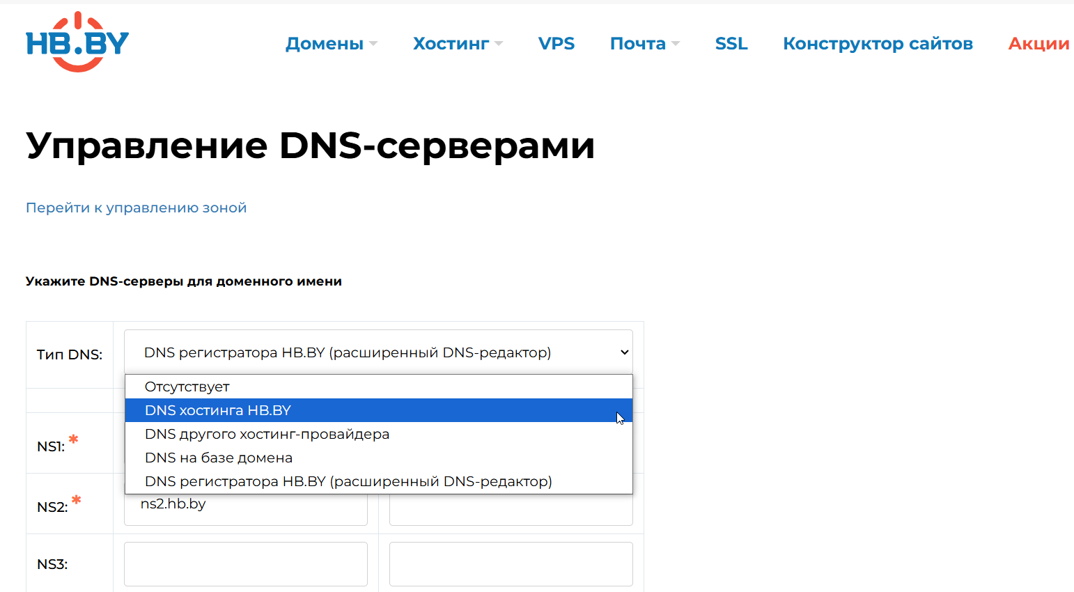 Выбор типа DNS Изображение 4