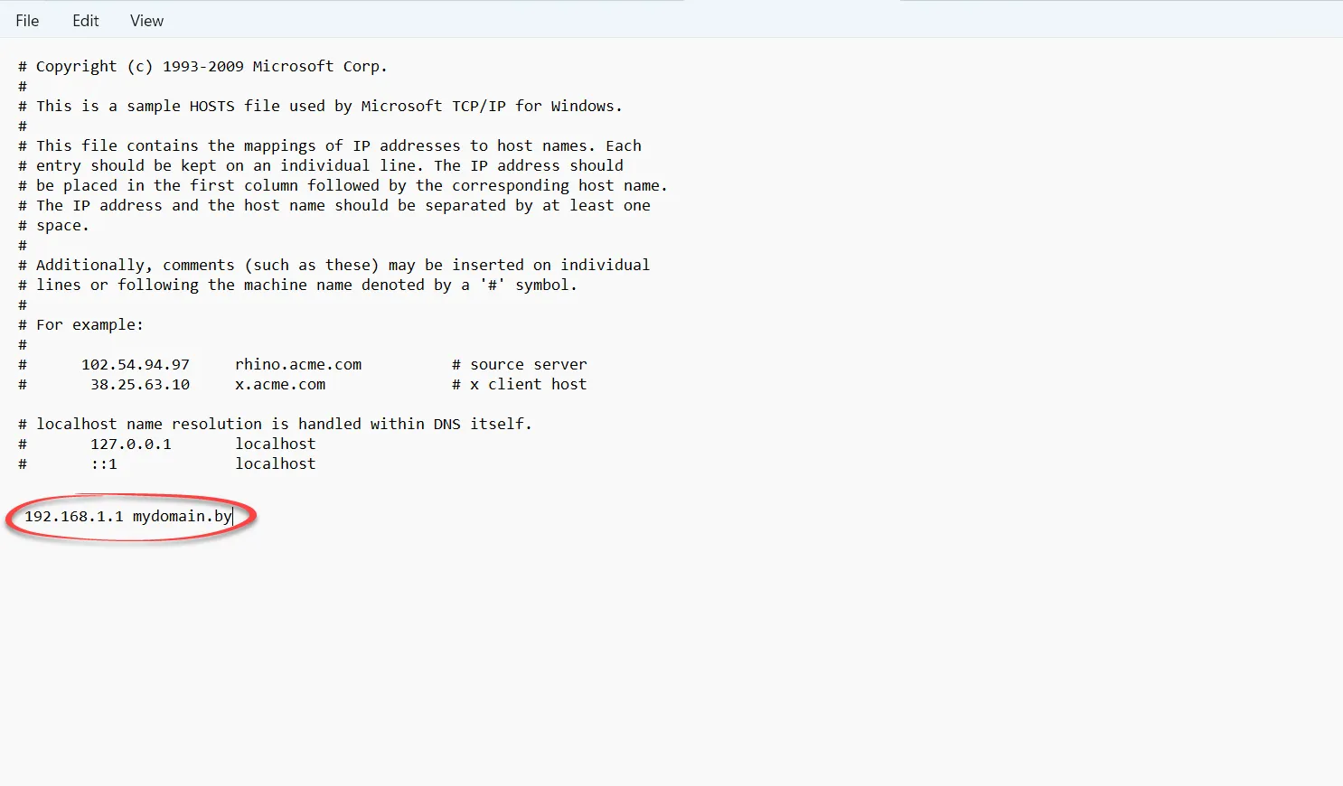 IP и имя домена в файле Изображение 2
