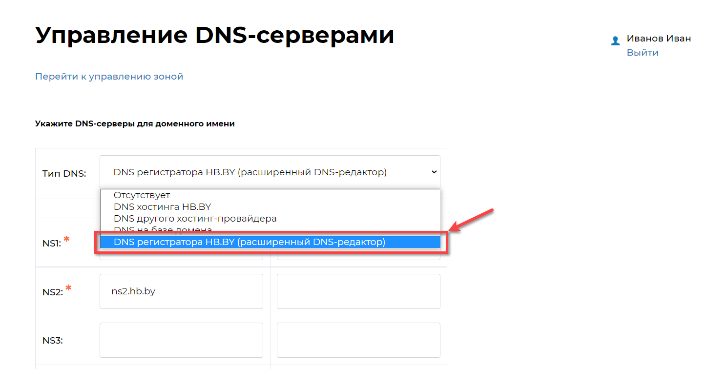 Выбор DNS регистратора Скриншот выбора типа DNS в панели управления
